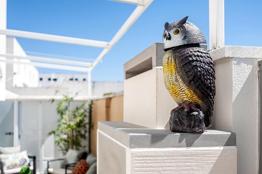 コニル・デ・ラ・フロンテラCasa Terrazaアパートメント エクステリア 写真